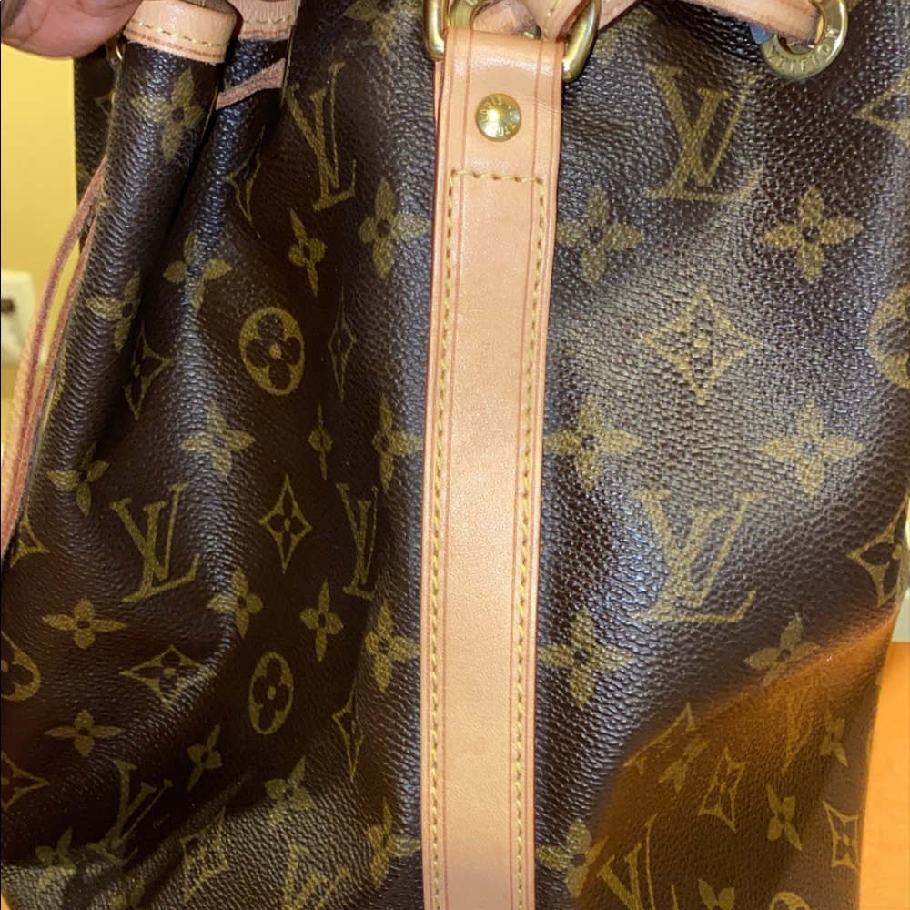 ADDITIONAL PICTURES PETIT NOE